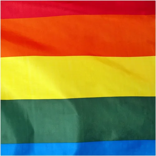 Miniatura 2 de Bandera gay arcoíris para exteriores, bandera del orgullo gay de 3 x 5 pies