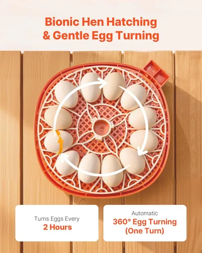Miniatura 4 de VEVOR Incubadora de 12 huevos, girador automático de huevos con vela LED, control de temperatura y humedad, ventana transparente de visión de 360°