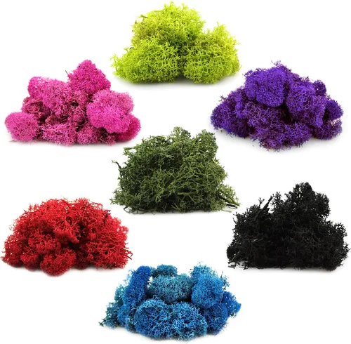 Miniatura 5 de Musgo de reno preservado verde bosque, 2 onzas, para interiores y exteriores, para plantas en maceta, terrarios, jardines de hadas, artes