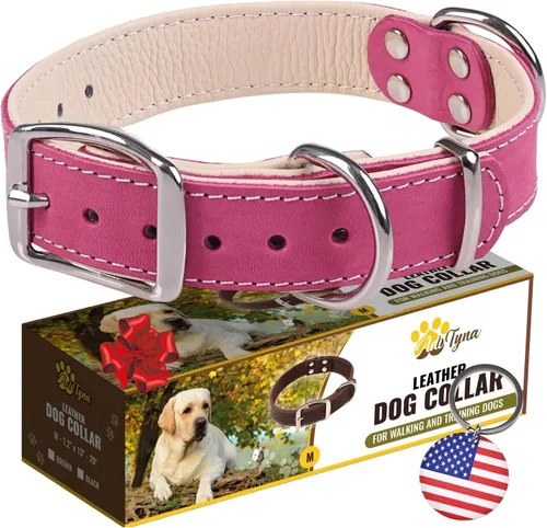 Miniatura 23 de ADITYNA Collar de perro de cuero rosa resistente para perros grandes, forrado con cuero suave, collar de perro para caminar, entrenar y senderismo