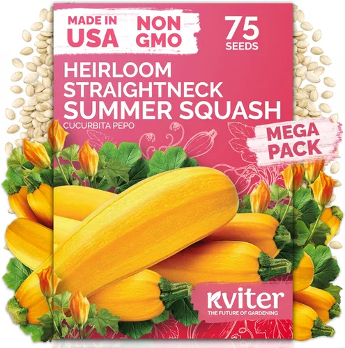 Miniatura 31 de KVITER 3100 semillas de zanahoria tiernas para plantar (Daucus carota) - Semillas de vegetales sin OMG para jardín al aire libre - Zanahorias dulces