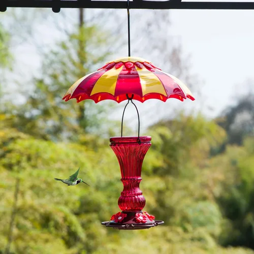 Miniatura 7 de Comedero de vidrio para colibríes, alimentador de néctar de pájaros salvajes rojos para colgar al aire libre, a prueba de fugas, 20 onzas con 5