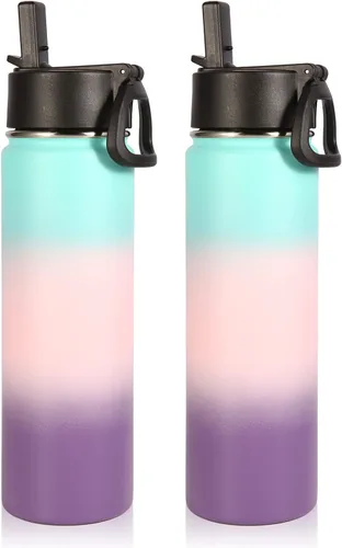 Volhoply Botellas de Agua Aisladas con Pajita a Granel Paquete de 2, Botella Deportiva de 22 oz con Tapa con Asa, Botellas de Agua al Vacío de Doble