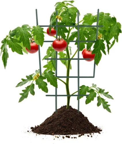 Miniatura 7 de DOITOOL Enrejado de plantas pequeñas, paquete de 5 mini soportes para plantas en macetas para enredaderas, enrejado de jardín de plástico, malla