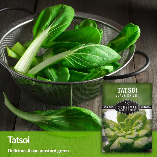 Miniatura 3 de Survival Garden Seeds - Semilla de Tatsoi Black Knight para plantar - 1 paquete con instrucciones para plantar y cultivar deliciosas verduras