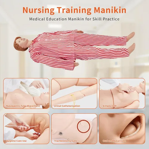 Miniatura 4 de Modelo anatómico de cuerpo completo para mujer adulta, maniquí de entrenamiento de enfermería de 67 pulgadas para entrenamiento de habilidades