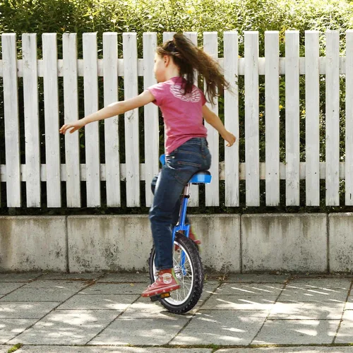Miniatura 3 de ZeHuoGe 16" Unicycle Excelente Manganeso Marco de Acero de Manganeso Protección Mute Cojinete de EE.UU. Entrega