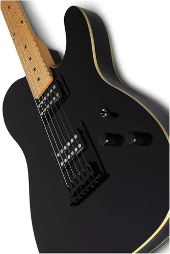 Miniatura 3 de Schecter Guitarra eléctrica PT (negro brillante)