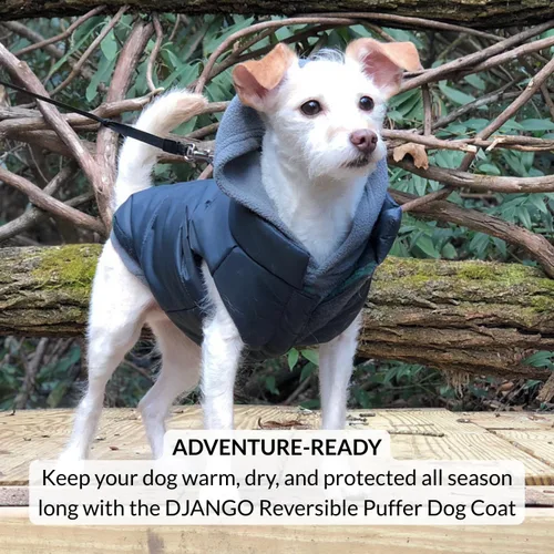 Miniatura 9 de DJANGO Abrigo acolchado reversible para perro – Chaqueta cálida de invierno para perro y abrigo aislante repelente al agua con agujero para arnés