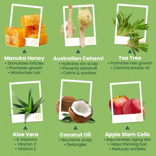 Miniatura 2 de Juego de champú y acondicionador de árbol de té y miel, tratamiento de caspa con aceite de árbol de té orgánico, tratamiento con picazón en el cuero