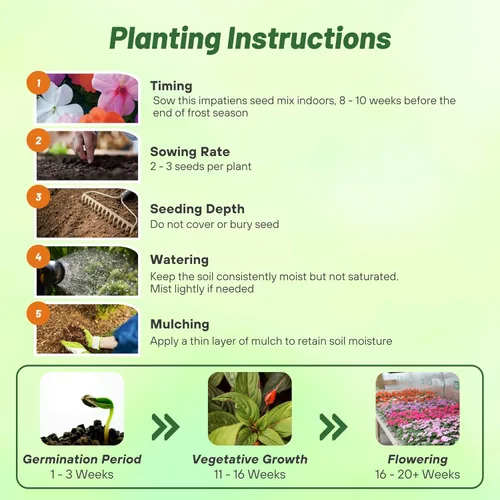 Miniatura 4 de Outsidepride 150 semillas Impatiens Xtreme Pastel Shade Garden Flower Seed Mix para plantar