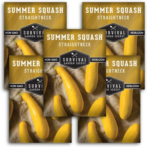 Semillas amarillas de calabaza de cuello recto para plantar, variedad de semillas de verduras de verano de cuello recto reliquia, sin OMG, alto
