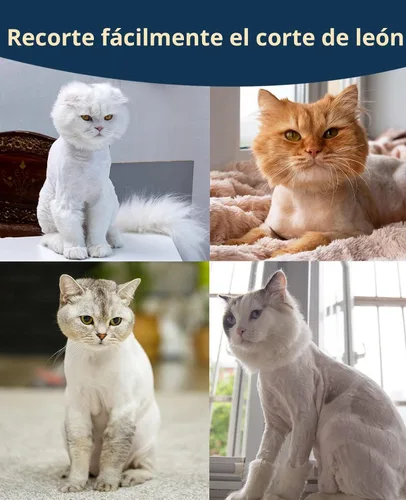 Miniatura 5 de oneisall Cortador de pelo para gatos silencioso para pelo enmarañado y largo, afeitadora de mascotas inalámbrica de 2 velocidades para gatos, perros