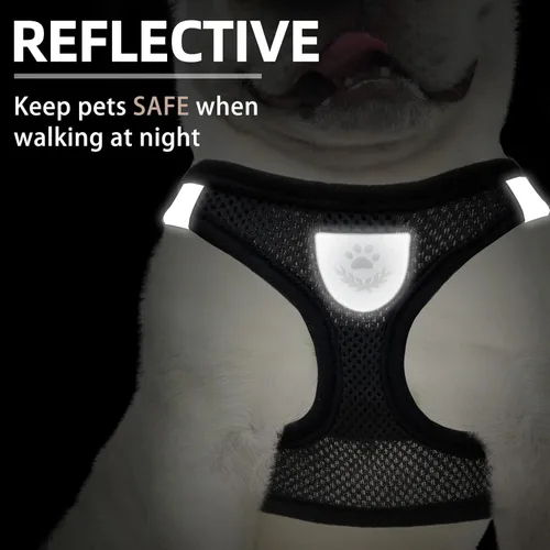 Miniatura 5 de PUPTECK Juego de arnés ajustable para perro, collar y correa sin tirones, arnés para mascotas para perros pequeños y medianos, cachorros y gatos