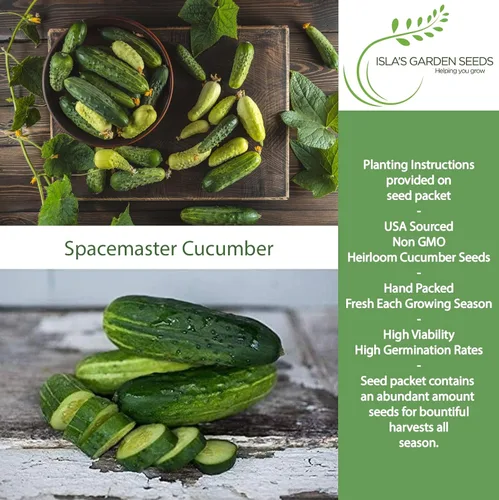 Miniatura 2 de Semillas de pepino Spacemaster, más de 100 semillas tradicionales por paquete, semillas de jardín de Isla (semillas de jardín de Isla), semillas sin