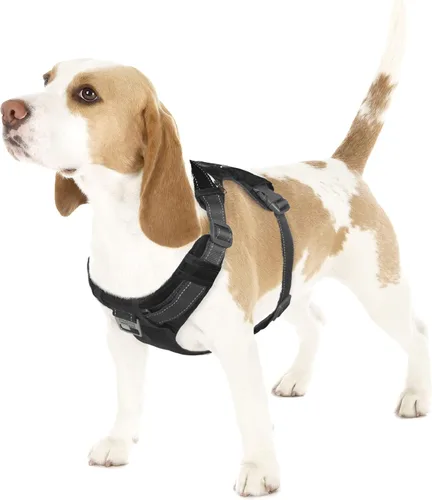 Miniatura 10 de Outward Hound Boulder Adventure - Arnés ajustable para perro con bolsillos, turquesa, mediano