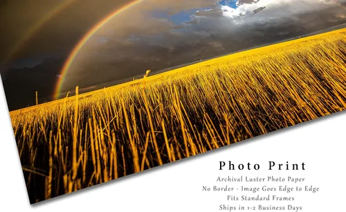 Miniatura 2 de Great Plains Photography Print (Not Framed) Picture of Double Rainbow Over Golden Wheat Field on Stormy Spring Day in Kansas Western Sky Wall Art