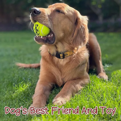 Miniatura 5 de INSUM Pelotas Chirriantes para Perros - Pelotas de Tenis Chirriantes para Perros, Amarillo Mediano - 6.35 cm, 20