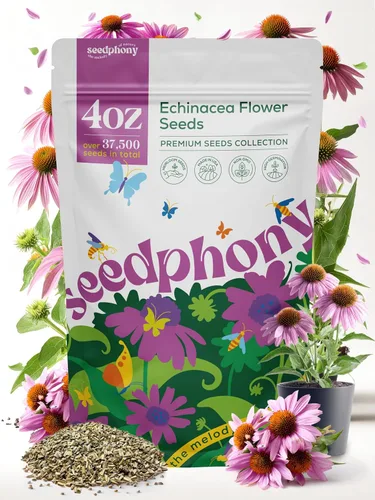 Miniatura 14 de Seedphony Paquete de semillas de equinácea de 1 onza – 9,300 semillas de equinácea sin OMG para plantar, flores perennes en paquete de semillas