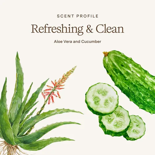 Miniatura 7 de Rahua Acondicionador de aloe vera, ligero, hidratante y calmante para cuero cabelludo sensible y todo tipo de cabello, infundido con pepino