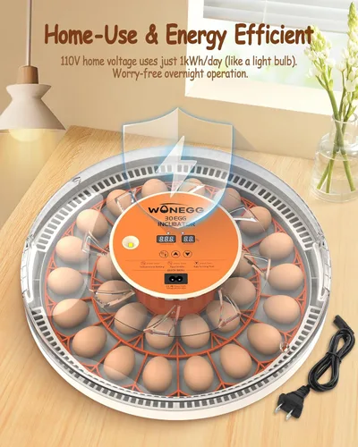Miniatura 9 de 30 incubadoras de huevos para incubar huevos con girador automático de huevos, control automático de temperatura, velas LED, monitor de humedad
