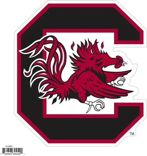 Miniatura 18 de NCAA, imán con logotipo, 8 pulgadas