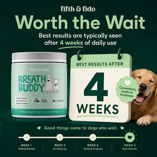Miniatura 3 de Fifth & Fido Breath Buddy Polvo Dental para Perros para Aliento más Fresco y Dientes más Limpios, Polvo de Limpieza de Dientes para Gatos y Perros