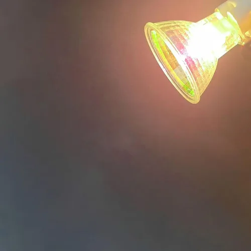 Miniatura 4 de 4PC Halogen Spotlight Bulb 5W 6V MR11 20W 24V GU4 Halogen Light Bulbs 35W 12V MR11 220V 10W G4/GU4/GZ4 Bi-Pin Base Dimmable 24V 20W
