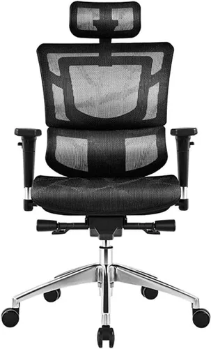 Miniatura 7 de Commercial Ergonomic High Back Executive Mesh Chair, with Adjustable Lumbar Support, Headrest and 3D Armrests Configure Chassis Functions(A)