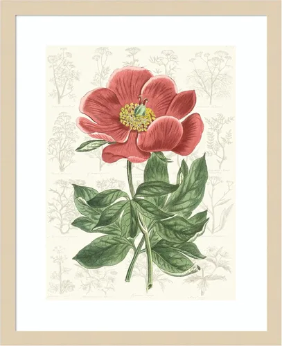 Miniatura 16 de Amanti Art Vision Studio - Lienzo decorativo para pared, 24 x 20 pulgadas, diseño de jardín de flores de peonía, arte de pared de flores, decoración