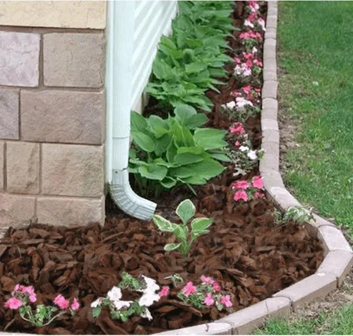 Miniatura 6 de 3 cuartos de corteza de orquídea orgánica para macetas - Mantillo natural de orquídea para plantas en maceta, desarrollo de raíces de plantas