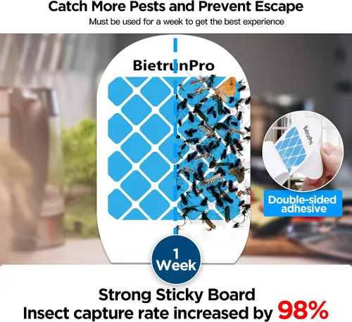 Miniatura 2 de Trampas para Moscas de Fruta/Trampas para Mosquitos para Interiores, Mata Mosquitos con Luz UV y Azul Enchufable, Trampa para Insectos Voladores