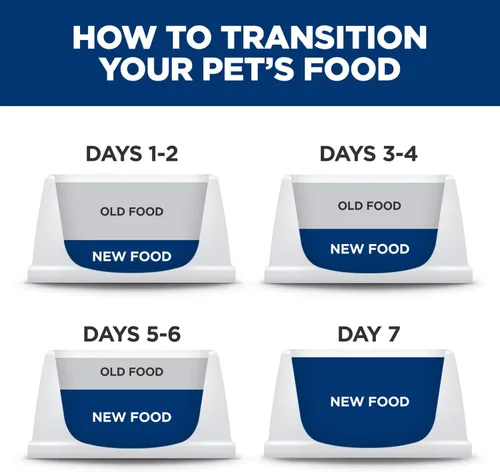 Miniatura 6 de Hill's Science Diet Kitten, Nutrición Premium para Gatito, Comida Seca para Gatos, Receta de Pollo, Bolsa de 7 lb White