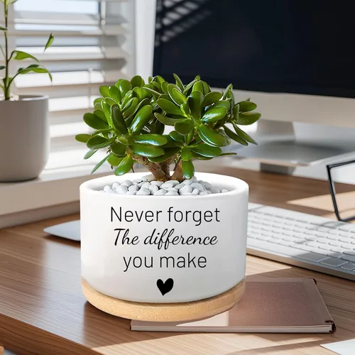 Miniatura 3 de Regalos inspiradores para mujeres, bonita maceta para suculentas, maceta de cactus para amantes de las plantas, regalo motivacional de animación