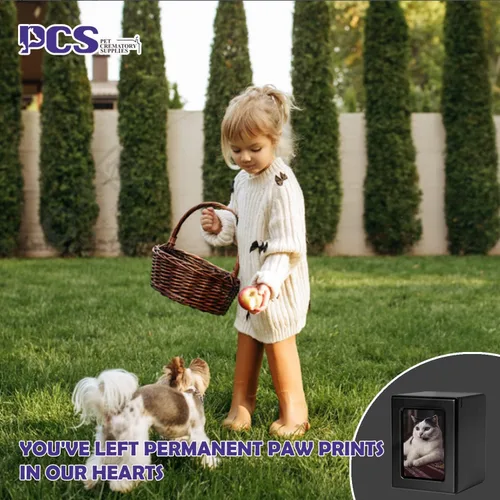 Miniatura 6 de PCS Urnas de mascotas para gatos, urna de foto de gato, urnas de gato para cenizas, caja de cremación para mascotas, color negro, pequeña