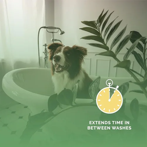 Miniatura 7 de Bark2Basics Salon Scents Colonia de aseo para mascotas, 8 onzas, perfume natural de grado profesional para perros y gatos, larga duración