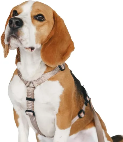 Anatomically Correct - Arnés para perro en forma de Y, no restrictivo, sin tirones, ajustable de 6 puntos para movimiento natural, a prueba de