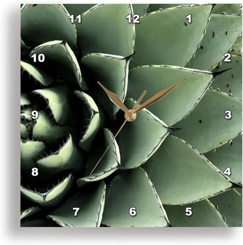 3dRose DPP_92676_2 Agave Cactus Suculent, Santa Fe, Nuevo México US32 JMR0454 Julien McRoberts Reloj de pared, 13 x 13 pulgadas