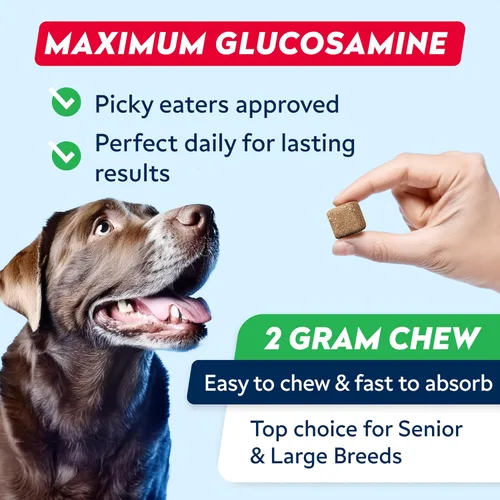 Miniatura 7 de STRELLALAB Suplemento avanzado de glucosamina para cadera y articulaciones para perros mayores, mejillón y colágeno de labios verdes, alivio