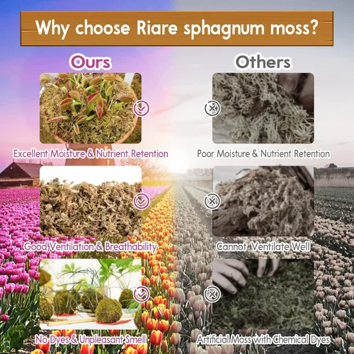 Miniatura 5 de Riare 1.1 libras de musgo esfagnum de alta calidad, plantas de turba de esfagnum largo natural, secado con musgo, plantas carnívoras mezcla