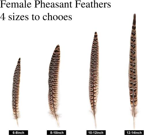 Miniatura 2 de MAOFENG 12 plumas naturales femeninas de cuello de anillo, plumas de faisán de 6 a 8 pulgadas, 5.9-7.9 in para manualidades, bodas, fiestas