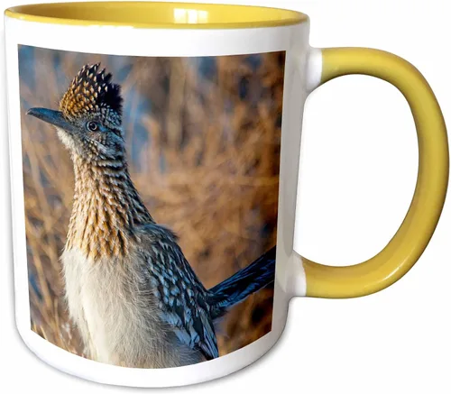 Miniatura 9 de 3dRose Roadrunner bird, Bosque del apache NWR, New Mexico-US32 CHA0044-Chuck Haney - Taza de dos tonos, 11 onzas, negro/blanco
