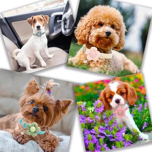 Miniatura 6 de Collar para perros pequeños con flor, Collares para cachorros XS, Collares para perros pequeños con campana para niña niño perrito pequeño (Rosa)