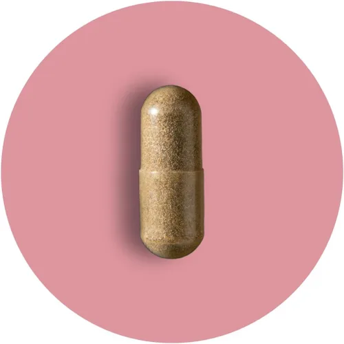 Miniatura 8 de Complejo de equilibrio femenino Apoyo Candida Mezcla de orégano y ácido caprílico Probióticos de desintoxicación vaginal y limpieza Apoya