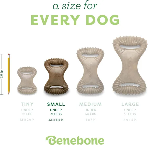 Miniatura 4 de Benebone - Juguete para morder dental duradero para perros agresivos, pollo real, fabricado en Estados Unidos, tamaño S