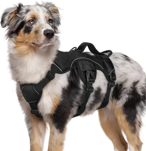 Miniatura 41 de rabbitgoo - Arnés para perro a prueba de fugas, arnés para mascotas acolchado suave de cuerpo completo, chaleco reflectante ajustable sin tirones