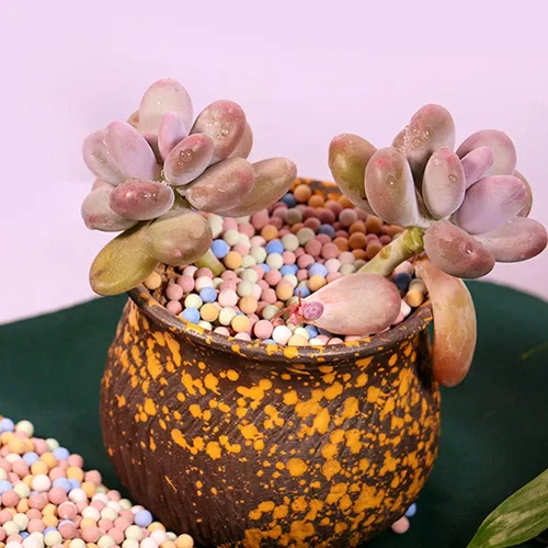 Miniatura 4 de Suelo de jardín, guijarros de arcilla, jardinería, cerámica, orquídea, rocas, drenaje, purificación de agua, decoración de cerámica, cultivo, piedra