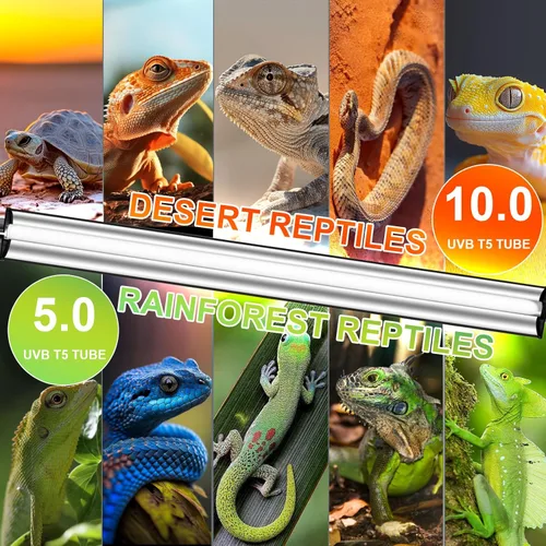 Miniatura 8 de Kit combinado de lámpara de reptil UVB T5 de 24 W - Tubo fluorescente UVB 10.0 para dragones barbudos, lagartos y tortugas - Luz de reptil UVA UVB