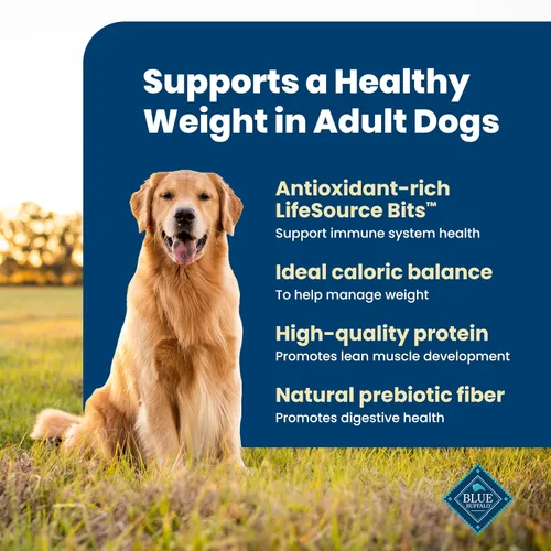 Miniatura 3 de Blue Buffalo Life Protection Formula Peso Saludable Alimento Seco para Perros Adultos, Apoya un Peso Ideal, Hecho con Ingredientes Naturales, Receta