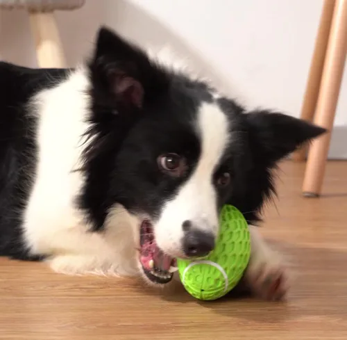 Miniatura 4 de AUSCAT Juguete de fútbol chirriante para perros, juguete masticable para perros, pelota de goma resistente para perros medianos y grandes, verde